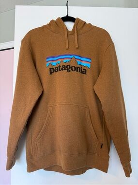 Patagonia Brown Pullover Hoodie with Multicolor Logo